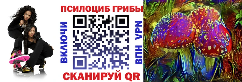 Псилоцибиновые грибы Psilocybe  Реж 